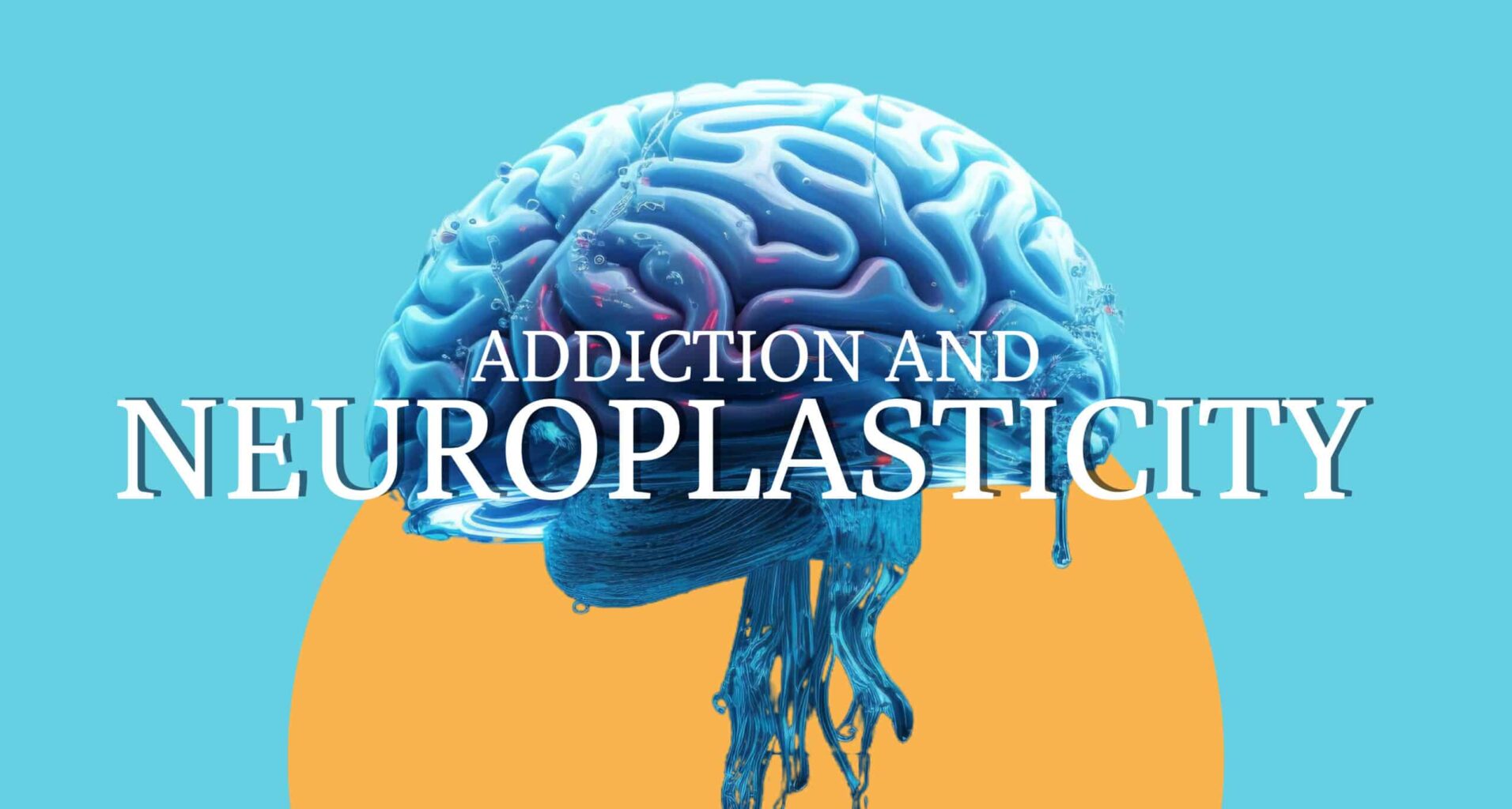 Understanding Addiction and Neuroplasticity: A Comprehensive Guide Understanding Addiction and Neuroplasticity