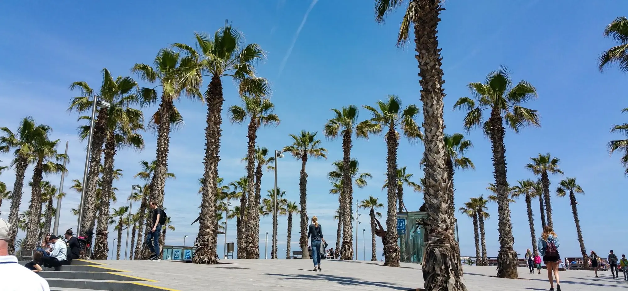 Drug rehab Coastal Detox of Southern California