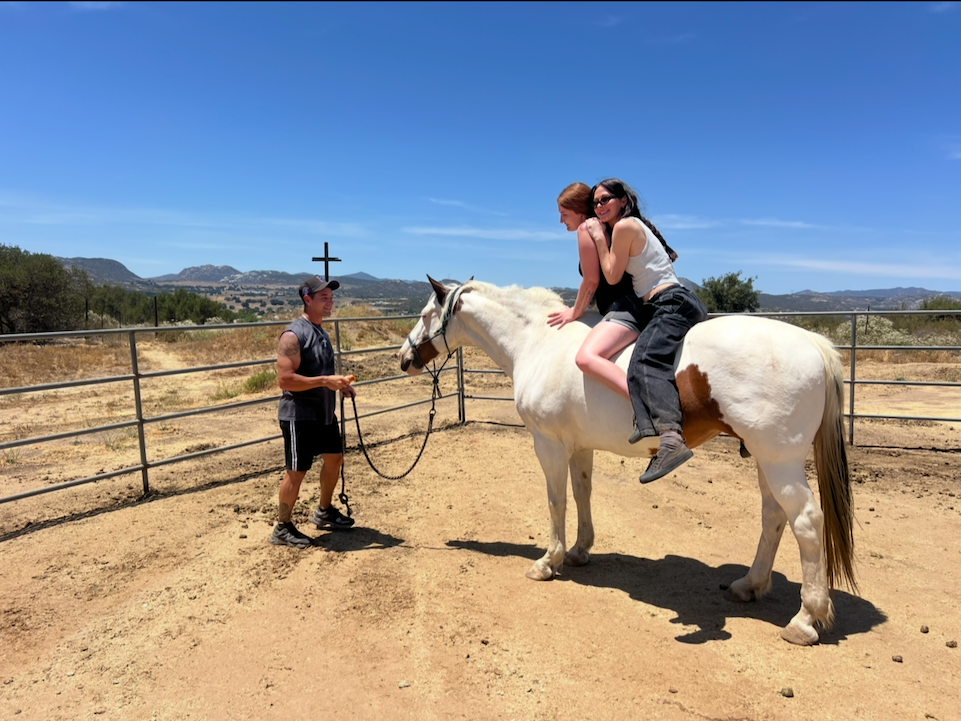 The Benefits of Equine Therapy for Addiction Treatment equine therapy for addiction treatment
