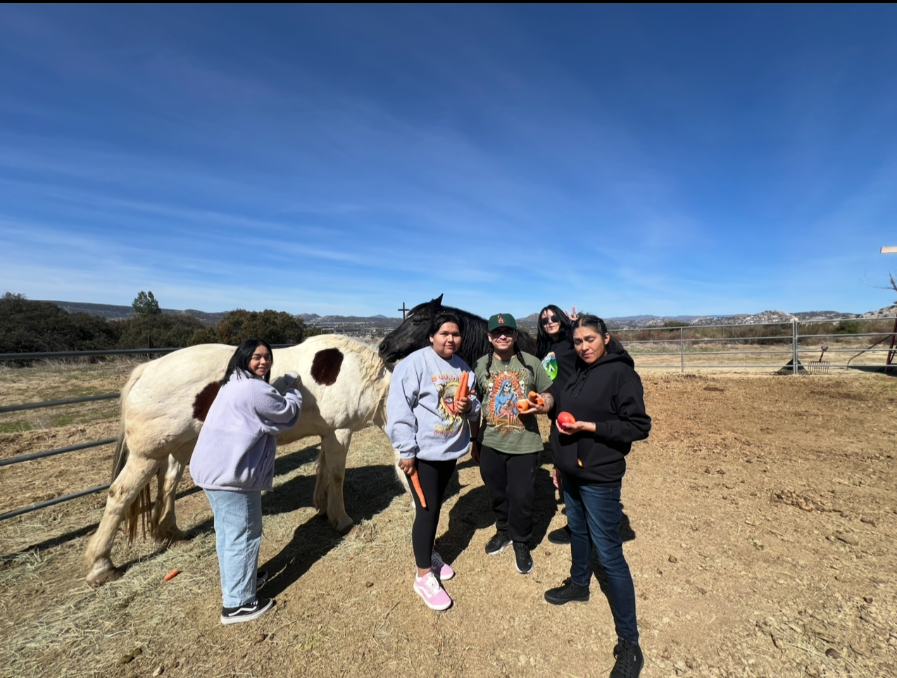 The Benefits of Equine Therapy for Addiction Treatment coastal detox equine therapy san diego addiction rehab