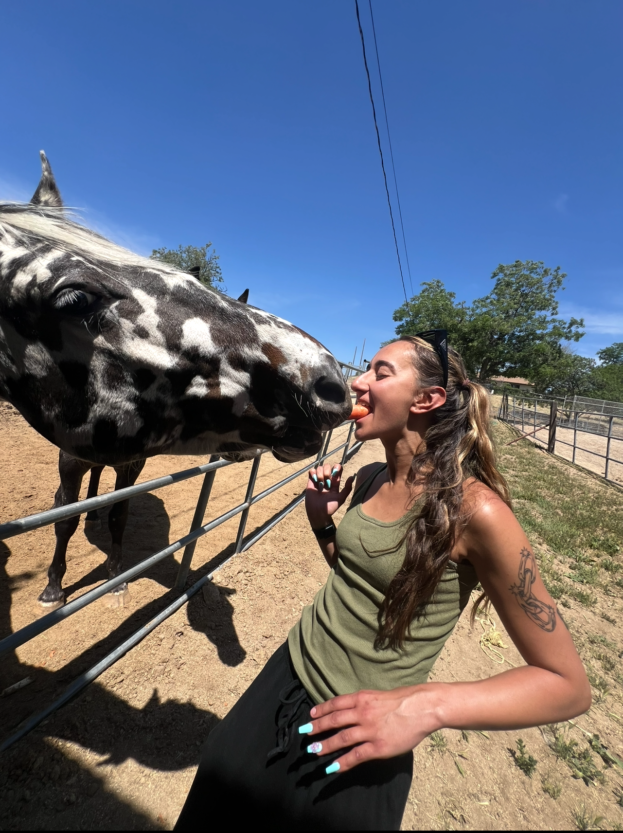 Rehab with equine therapy at Coastal Detox of Southern California