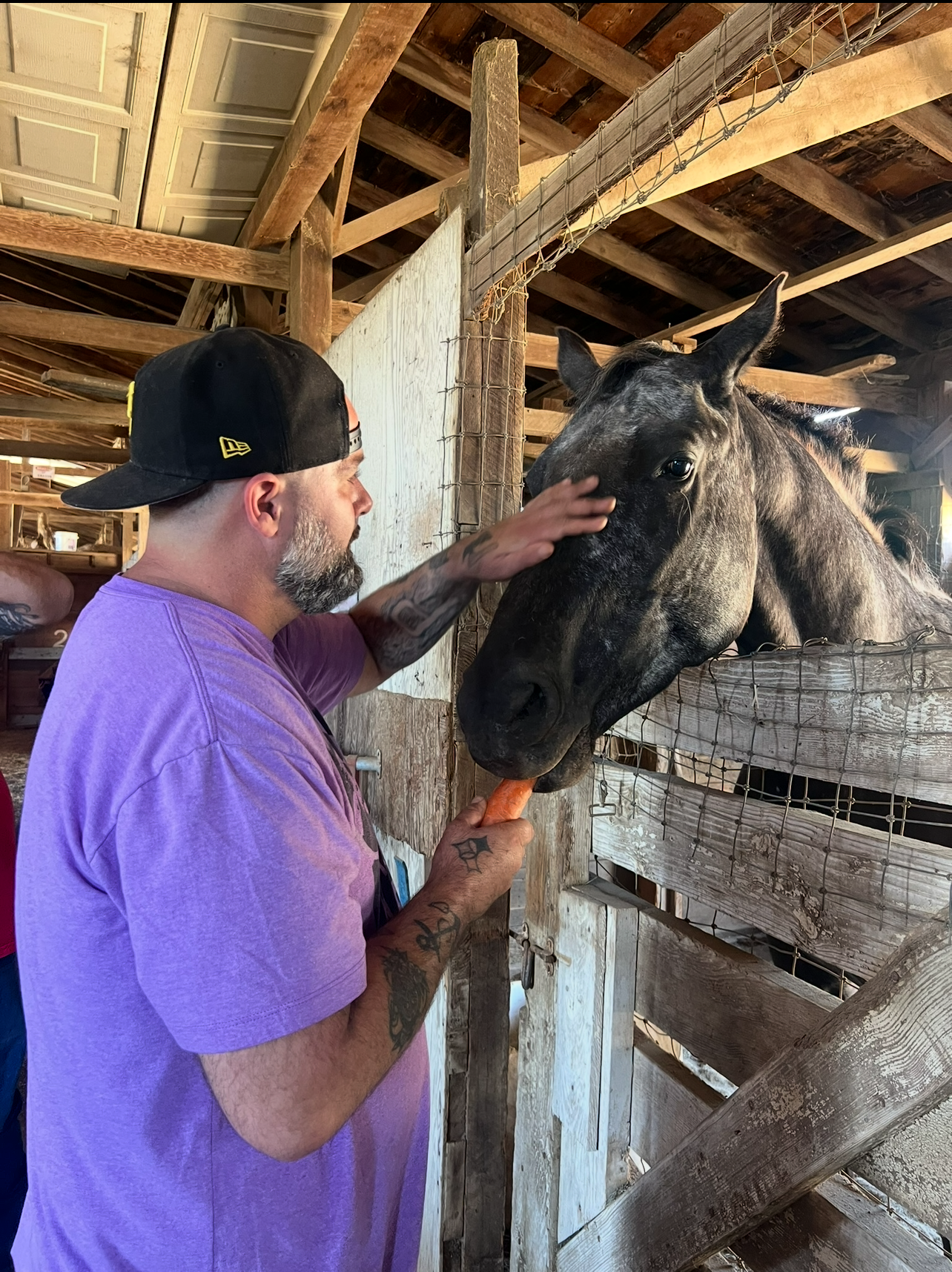 Equine therapy in rehab at Coastal Detox of Southern California