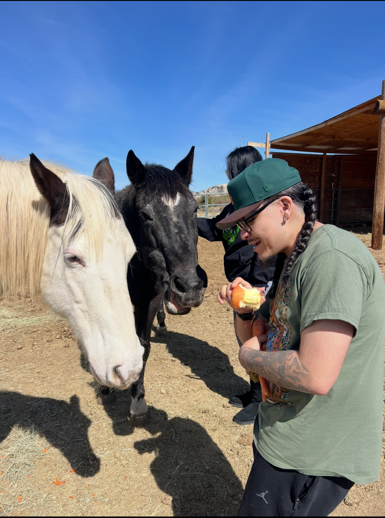Drug rehab equine therapy at Coastal Detox of Southern California