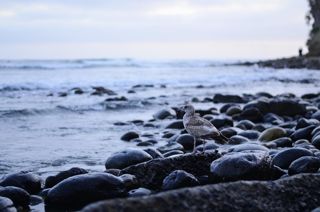 Rehab near the beach at Coastal Detox of Southern California