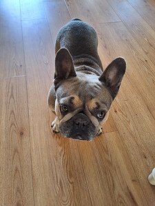 Our Team Our Team | coastal detox