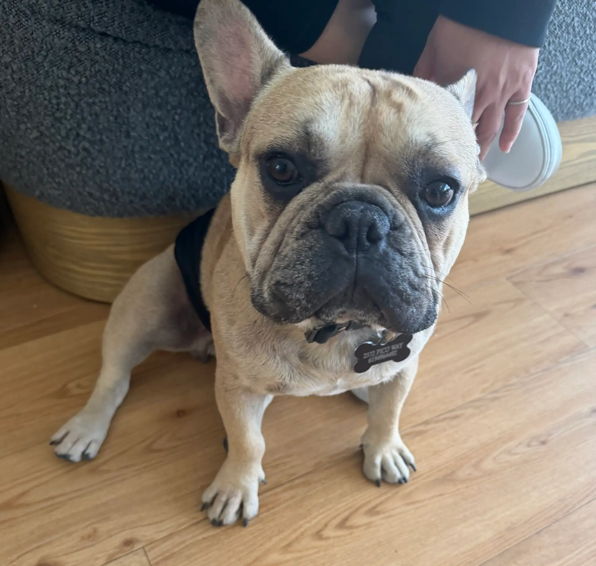 Our Team Our Team | coastal detox