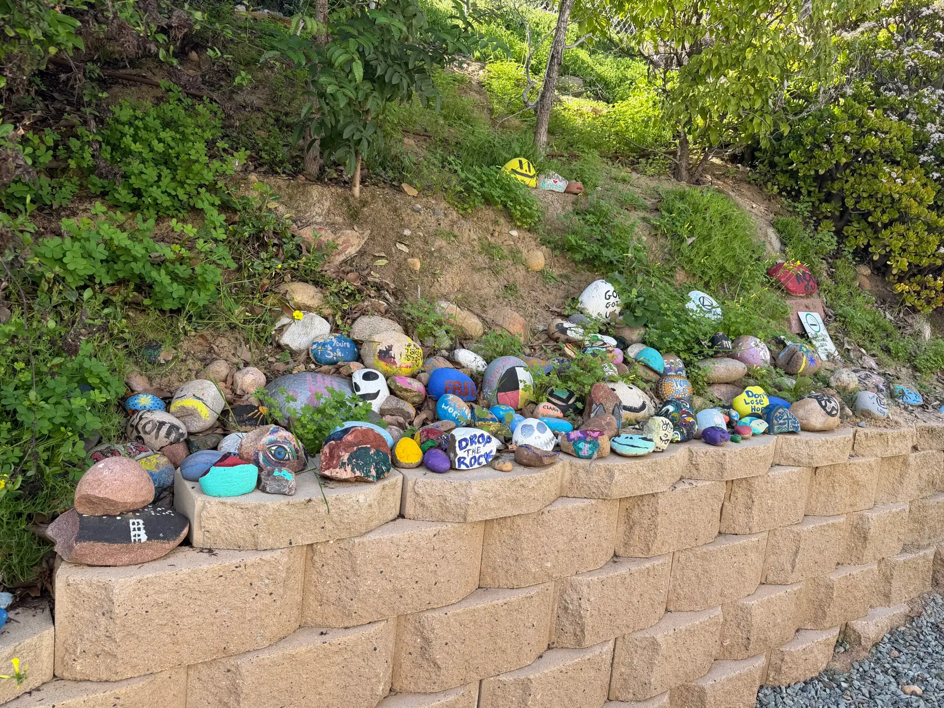 Facility Gallery Coastal Detox patient rock garden