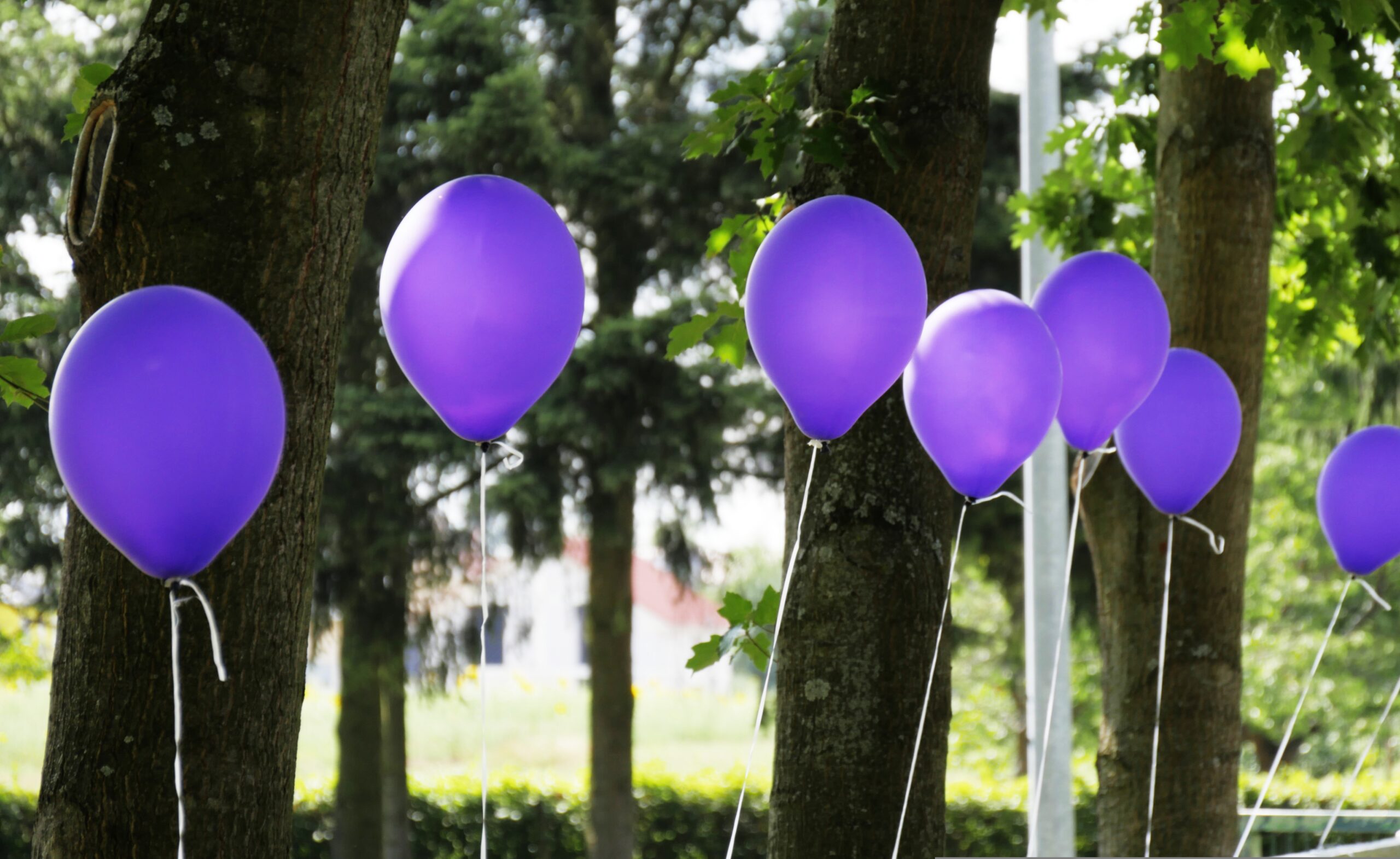 Overdose Awareness Day purple balloons for San Diego's Coastal Detox of Southern California